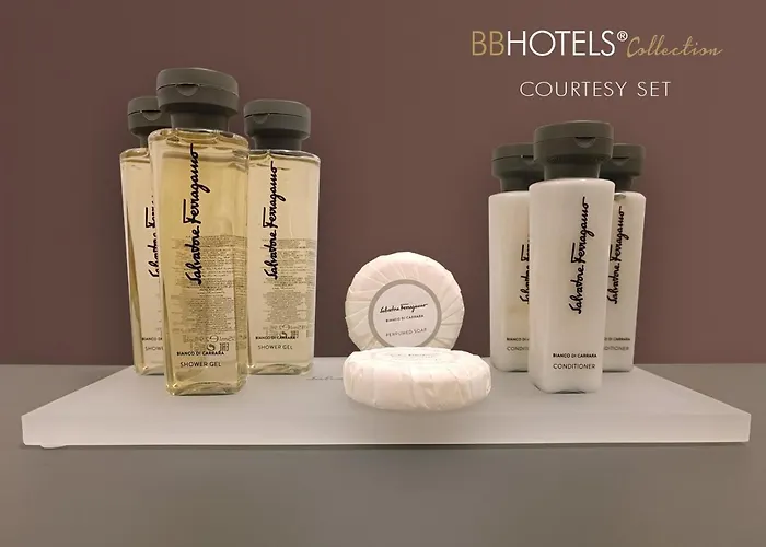 BB Hotels Aparthotel Collection Il Michelangelo Firenze